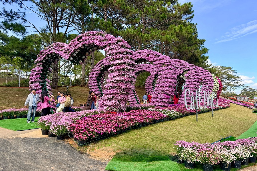 Du lịch tạo nên gam màu sáng trong bức tranh kinh tế Quý I/2026 Du lịch tạo nên gam màu sáng trong bức tranh kinh tế Quý I/2026