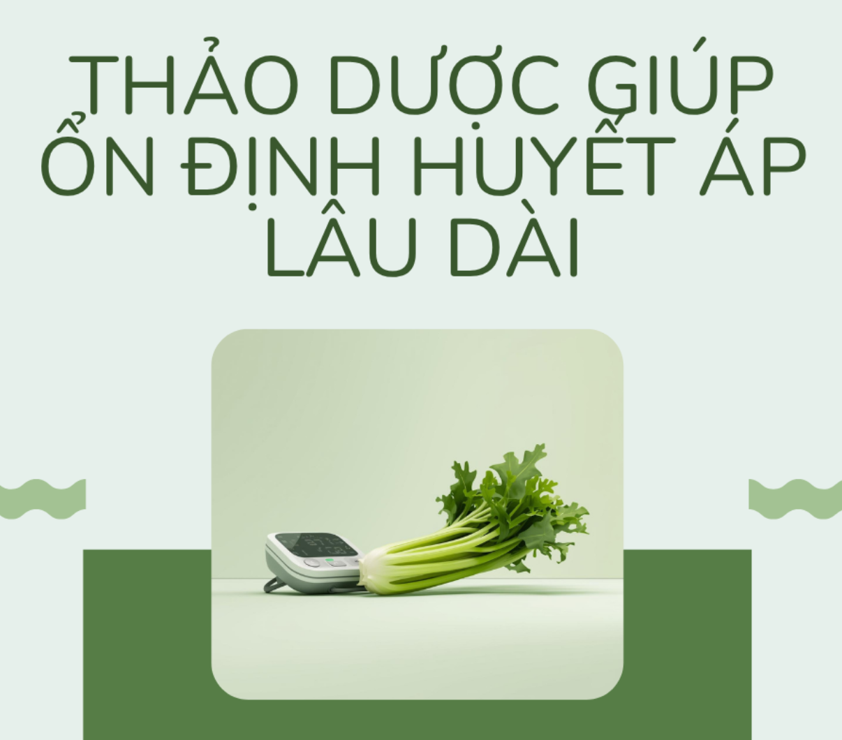 Bí quyết giúp kiểm soát huyết áp bền vững cho người cao tuổi