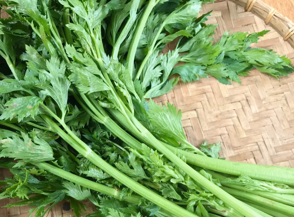 Cần t&acirc;y c&oacute; nhiều nghi&ecirc;n cứu chứng minh hiệu quả hạ huyết &aacute;p ổn định v&agrave; l&acirc;u d&agrave;i