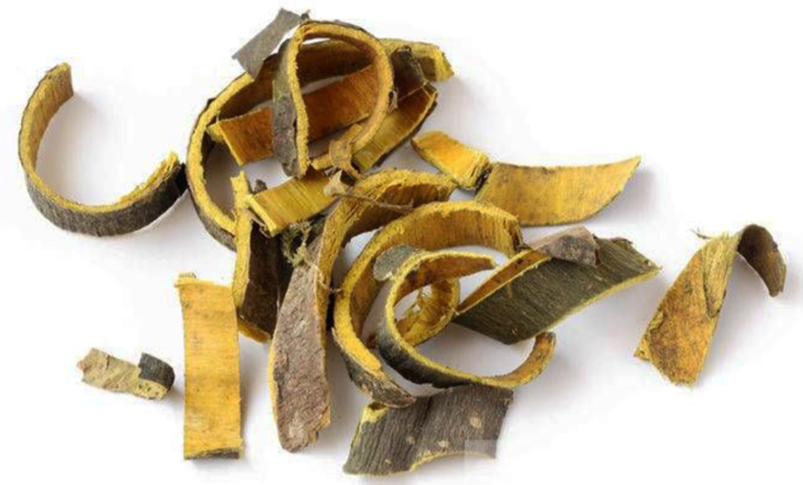 Ho&agrave;ng b&aacute; vừa gi&uacute;p hạ huyết &aacute;p vừa gi&uacute;p giảm mỡ m&aacute;u