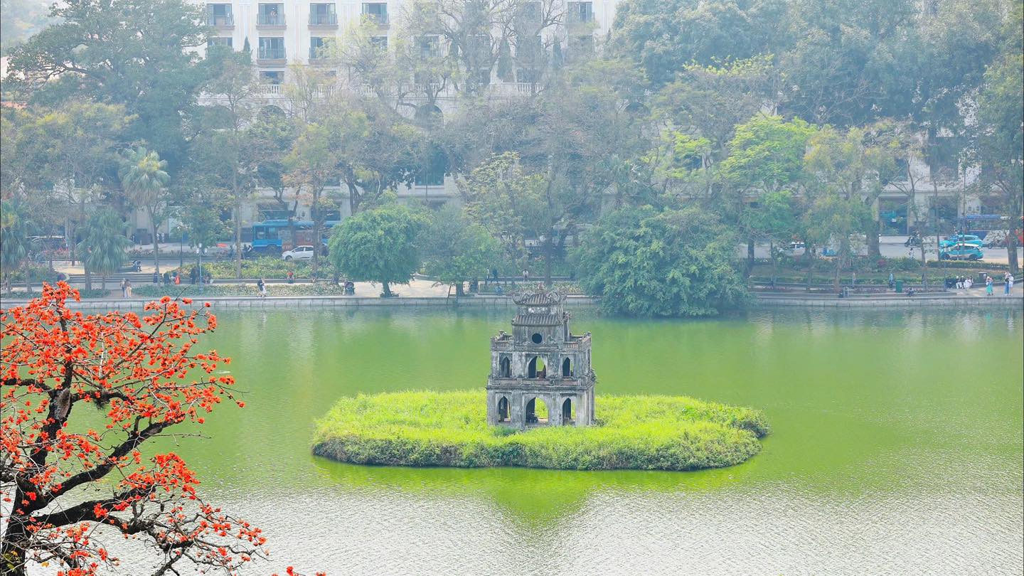 Hà Nội mùa hoa gạo: Sắc đỏ lặng thầm giữa nhịp sống vội