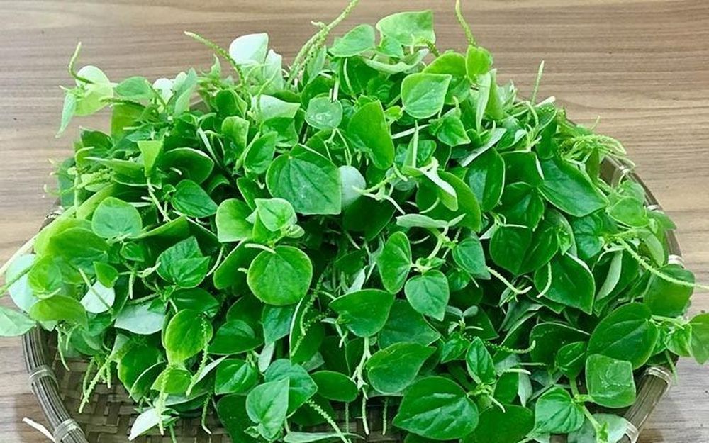 Loài rau dại quen thuộc chứa nguồn dinh dưỡng quý