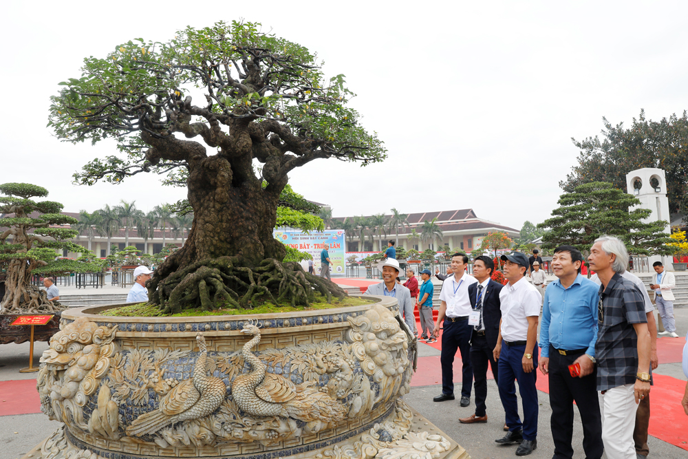 Triển lãm sinh vật cảnh - Festival Bắc Ninh “Về miền di sản 2026”
