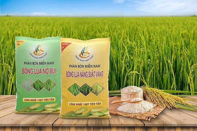 Phân bón Miền Nam dự kiến chia cổ tức bằng tiền mặt với tỷ lệ 5%