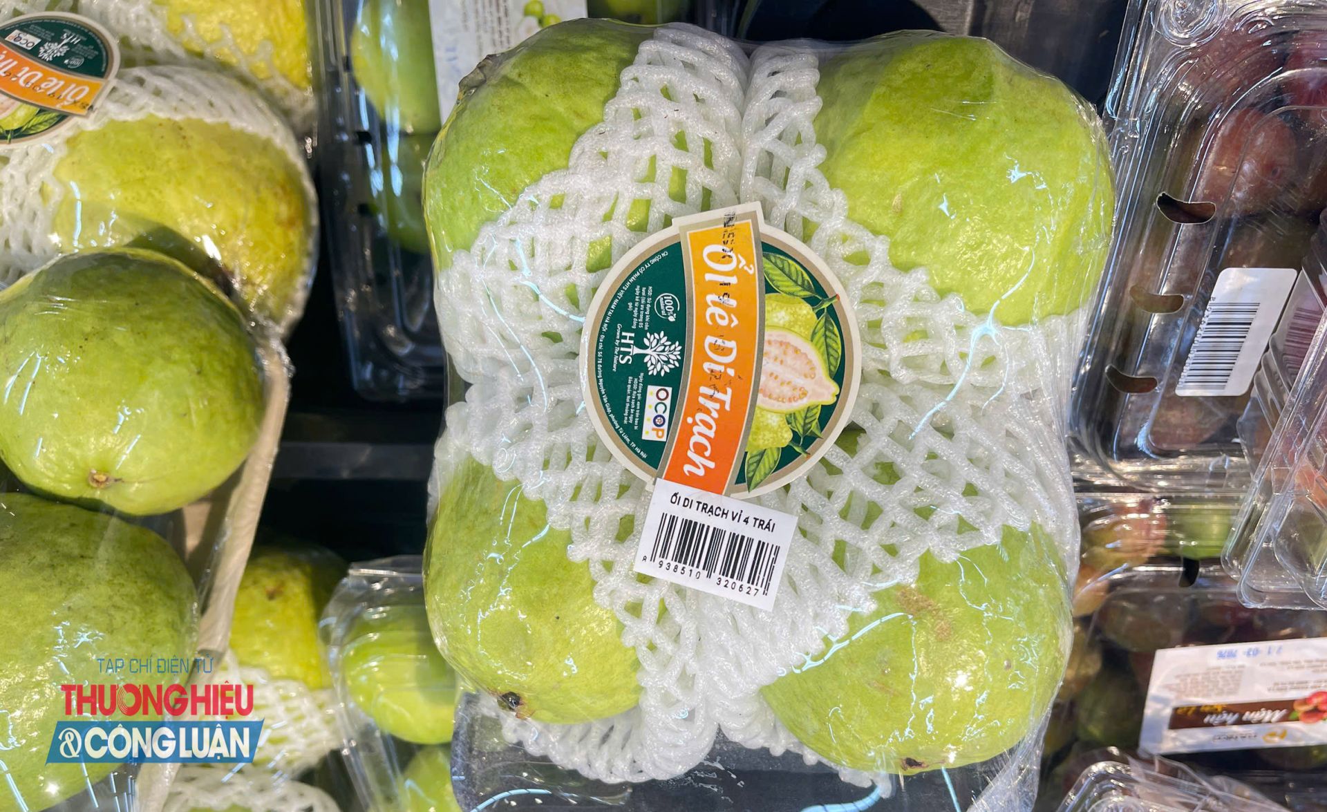 Hoa quả bày bán trong siêu thị được dán tem truy xuất nguồn gốc, giúp người tiêu dùng dễ dàng kiểm tra thông tin sản phẩm (Ảnh minh họa) Hoa quả bày bán trong siêu thị được dán tem truy xuất nguồn gốc, giúp người tiêu dùng dễ dàng kiểm tra thông tin sản phẩm (Ảnh minh họa)