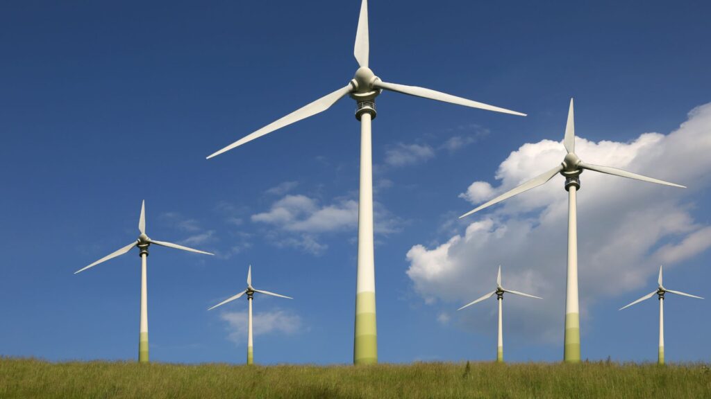 Vĩnh Long: Phát triển điện gió trở thành ngành kinh tế quan trọng