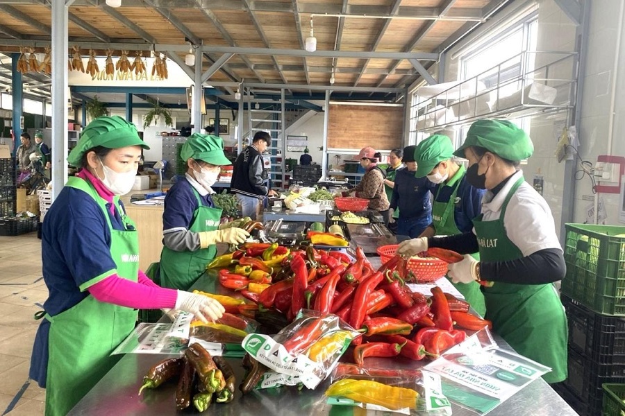 Nhờ tăng cường ứng dụng công nghệ số trong quản trị và sản xuất, kinh doanh, HTX Vườn Nhà Đà Lạt tăng biên độ lợi nhuận cao Nhờ tăng cường ứng dụng công nghệ số trong quản trị và sản xuất, kinh doanh, HTX Vườn Nhà Đà Lạt tăng biên độ lợi nhuận cao