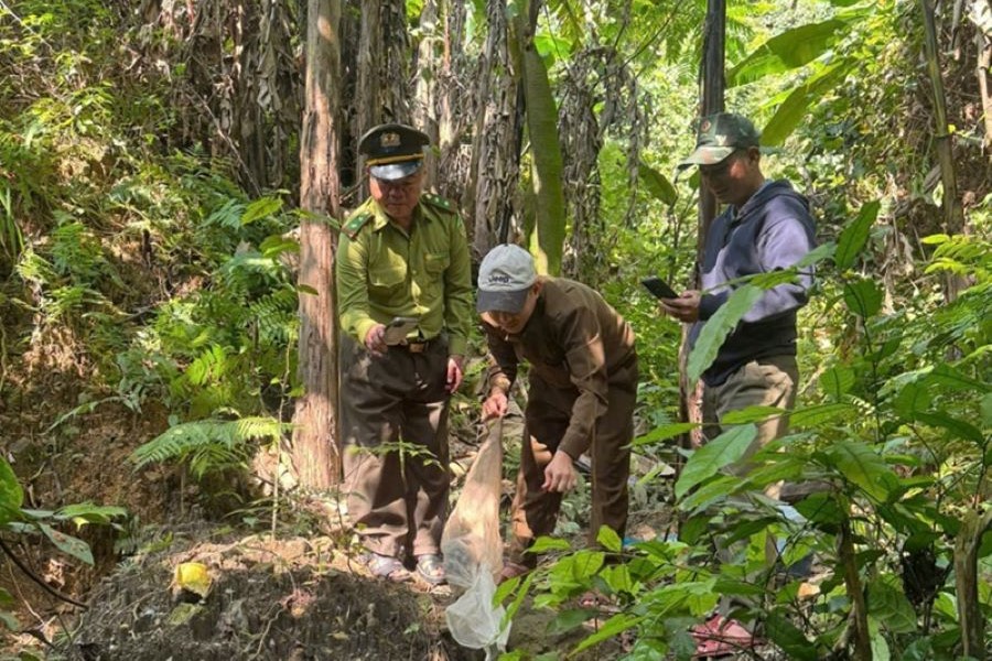 Hạt kiểm lâm Phong Nha chứng kiến, giám sát hoạt động Hạt kiểm lâm Phong Nha chứng kiến, giám sát hoạt động