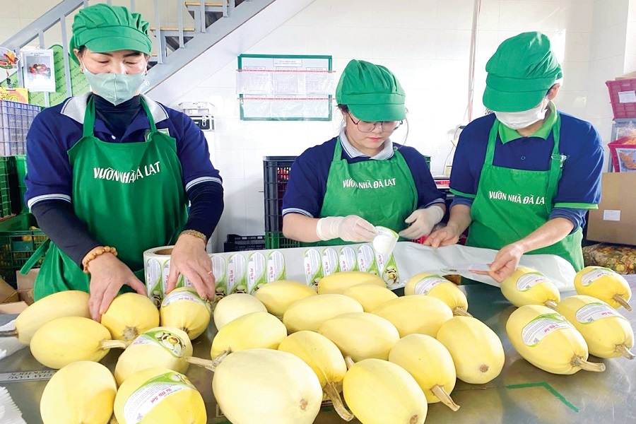 Xây dựng mô hình HTX số sản xuất để theo dõi truy xuất nguồn gốc sản phẩm Xây dựng mô hình HTX số sản xuất để theo dõi truy xuất nguồn gốc sản phẩm