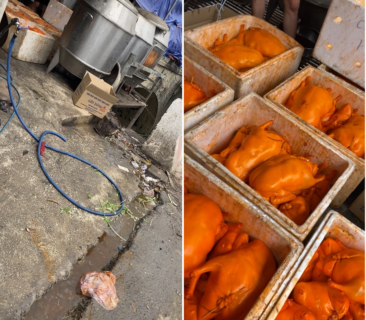 Khu vực chế biến nằm cạnh đường quốc lộ, s&aacute;t r&atilde;nh nước thải