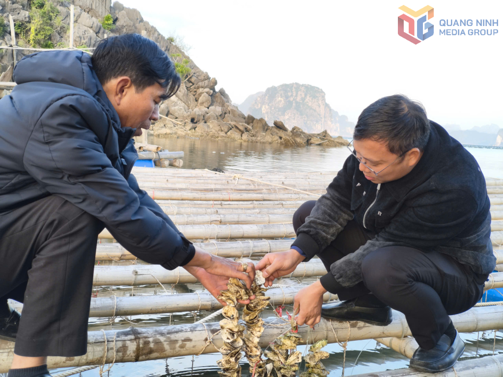 Quảng Ninh đồng bộ trong quy hoạch, sắp xếp nuôi trồng thủy sản biển