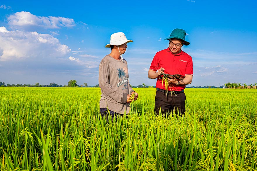 Agribank là ngân hàng chủ lực cung ứng vốn cho Đề án “Phát triển 1 triệu héc-ta lúa chuyên canh chất lượng cao phát thải thấp Agribank là ngân hàng chủ lực cung ứng vốn cho Đề án “Phát triển 1 triệu héc-ta lúa chuyên canh chất lượng cao phát thải thấp