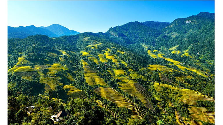 Lào Cai: Nâng hạng Khu bảo tồn thiên nhiên Bát Xát thành Vườn quốc gia Bát Xát
