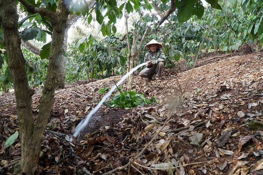 Ng&agrave;nh NNMT sẽ ổn định nguồn cung v&agrave; gi&aacute; ph&acirc;n b&oacute;n, xăng dầu để duy tr&igrave; sản xuất, giảm chi ph&iacute; đầu v&agrave;o