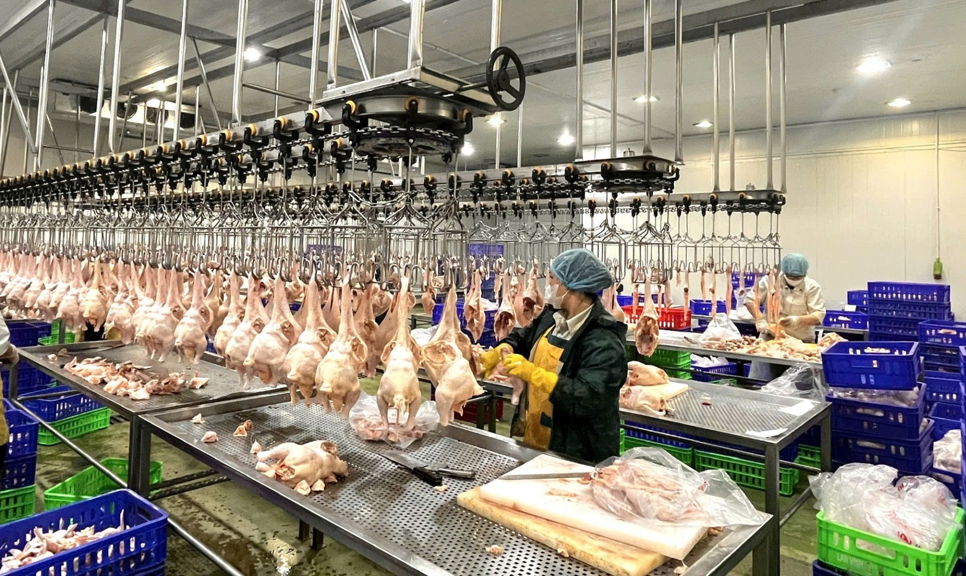 Hà Nội tăng tốc kiểm soát giết mổ nhỏ lẻ, bảo đảm an toàn thực phẩm