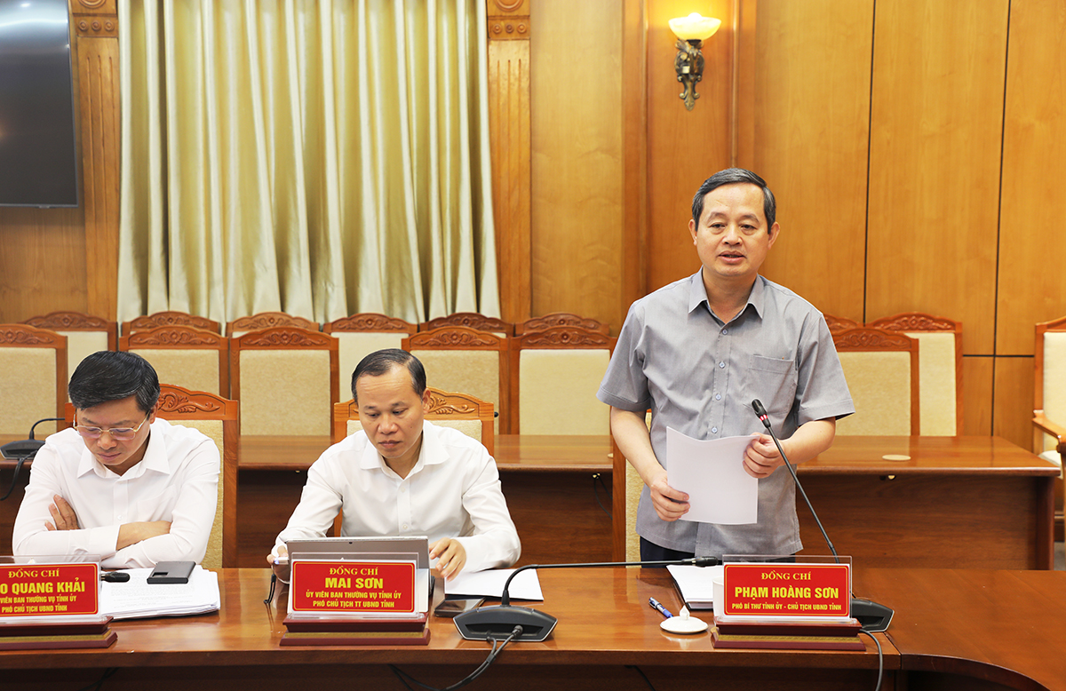 Chủ tịch UBND tỉnh Phạm Ho&agrave;ng Sơn tr&igrave;nh b&agrave;y b&aacute;o c&aacute;o tại hội nghị