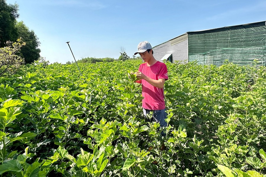 Dự b&aacute;o sơ bộ, chi ph&iacute; sản xuất n&ocirc;ng nghiệp tăng khoảng 3 - 5%, l&agrave;m tăng gi&aacute; n&ocirc;ng sản thực phẩm, nguy cơ tăng chỉ số gi&aacute; ti&ecirc;u d&ugrave;ng CPI.