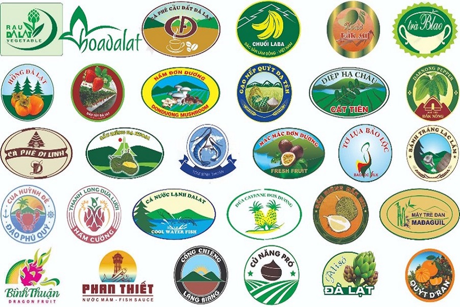 Lâm Đồng gỡ “điểm nghẽn” kích hoạt động lực phát triển khoa học và đổi mới sáng tạo