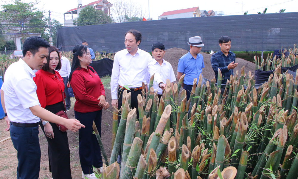 Bắc Ninh: Ra mắt Hợp tác xã sản xuất nông lâm nghiệp công nghệ cao Ngọc Thiện