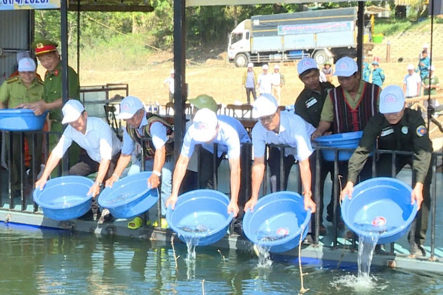 Các đại biểu thực hiện thả giống cá sau nghi thức khai mạc Các đại biểu thực hiện thả giống cá sau nghi thức khai mạc
