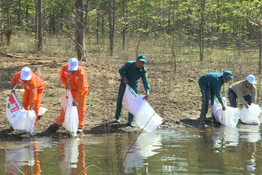 Cán bộ Công ty Thủy điện Đồng Nai và Chiến sĩ Dân quân tự vệ xã Tà Đùng thả giống cá tái tạo nguồn thuỷ sản tại hồ Tà Đùng Cán bộ Công ty Thủy điện Đồng Nai và Chiến sĩ Dân quân tự vệ xã Tà Đùng thả giống cá tái tạo nguồn thuỷ sản tại hồ Tà Đùng