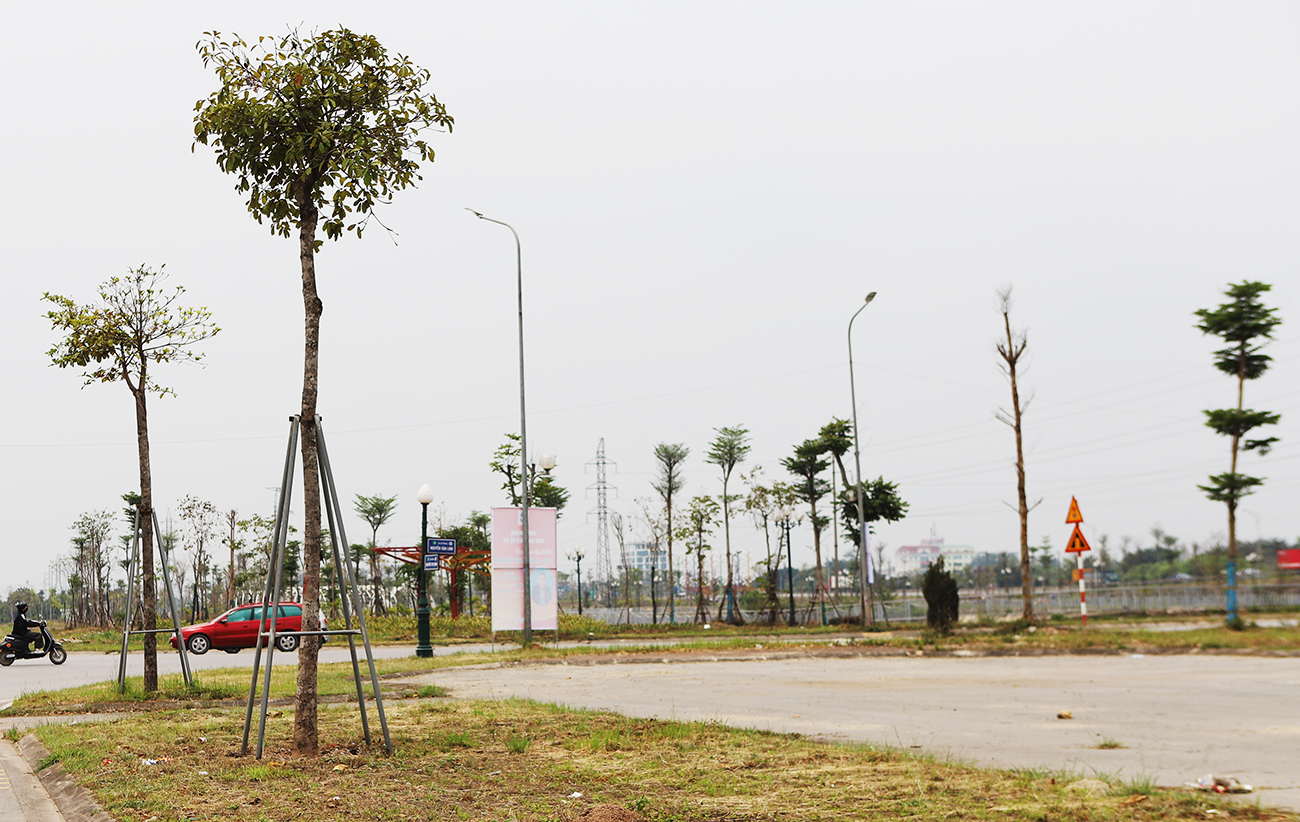 Bắc Ninh: Đẩy nhanh tiến độ triển khai thực hiện các dự án đấu giá quyền sử dụng đất