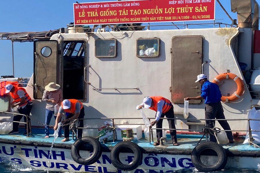 Lâm Đồng thả 1,4 triệu con giống tái tạo nguồn lợi thủy sản