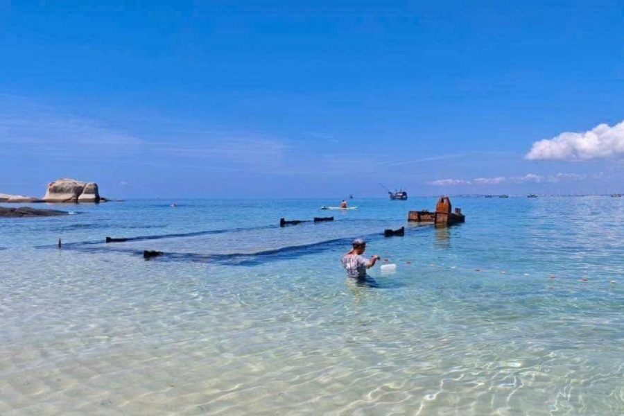 H&ograve;n Cau l&agrave; 1 trong 16 khu bảo tồn biển của Việt Nam v&agrave; l&agrave; 1 trong 3 khu bảo tồn c&oacute; r&ugrave;a l&ecirc;n đảo đẻ trứng