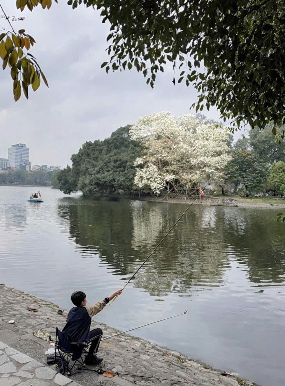 Một Hà Nội rất thơ… từ những khoảng xanh giữa lòng đô thị