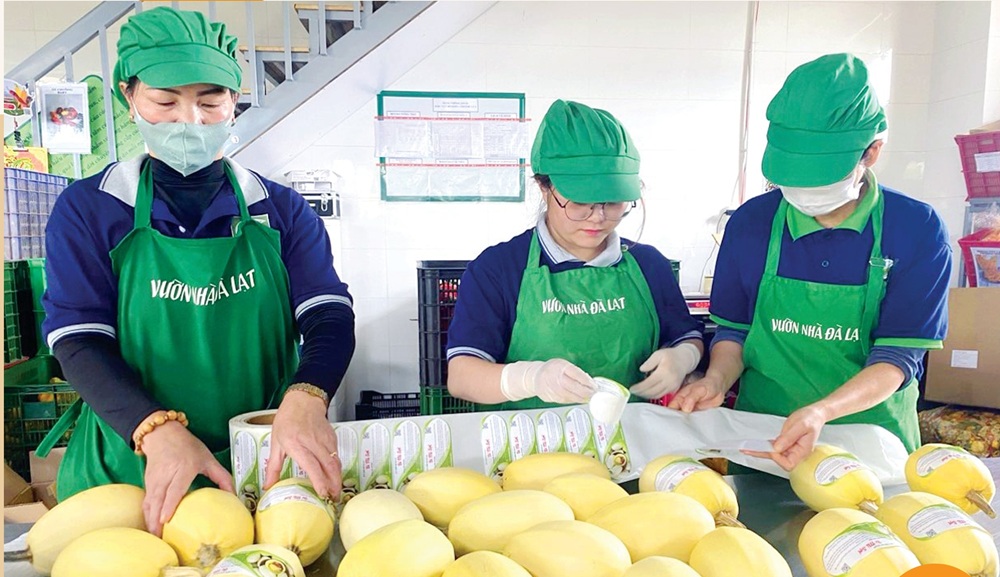 “Đòn bẩy kép” cho HTX: Chuyển đổi số gắn với sở hữu trí tuệ để nâng tầm OCOP