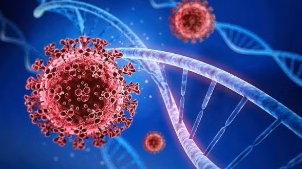 Bộ Y tế thông tin về biến thể SARS-CoV-2 BA.3.2