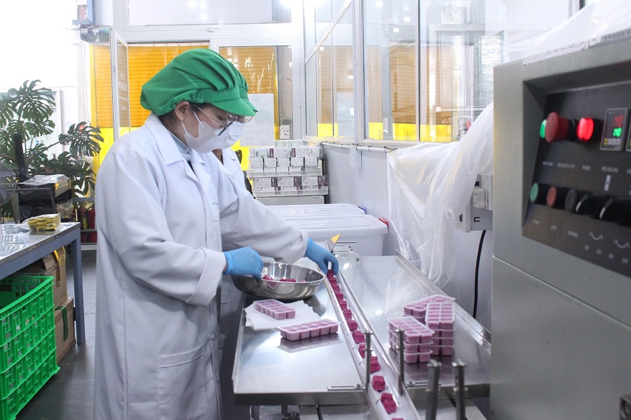 Hợp tác xã – động lực xây dựng nông nghiệp xanh, bền vững ở Lâm Đồng