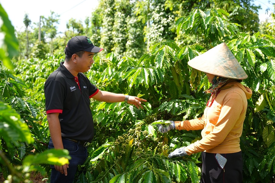 Nguồn cung thế giới dồi d&agrave;o khiến gi&aacute; c&agrave; ph&ecirc; kh&oacute; giữ ở mức cao
