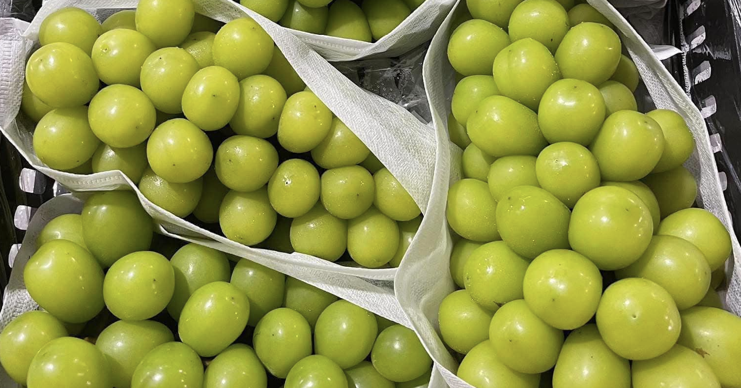 Nho sữa Trung Quốc được bán tại thị trường Việt Nam với giá rất rẻ so với sản phẩm nhiều nước khác Nho sữa Trung Quốc được bán tại thị trường Việt Nam với giá rất rẻ so với sản phẩm nhiều nước khác