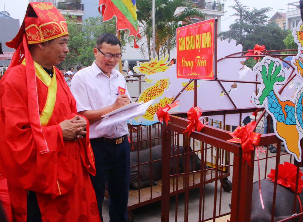 Ban tổ chức chấm lợn để t&igrave;m ra lợn đẹp nhất.