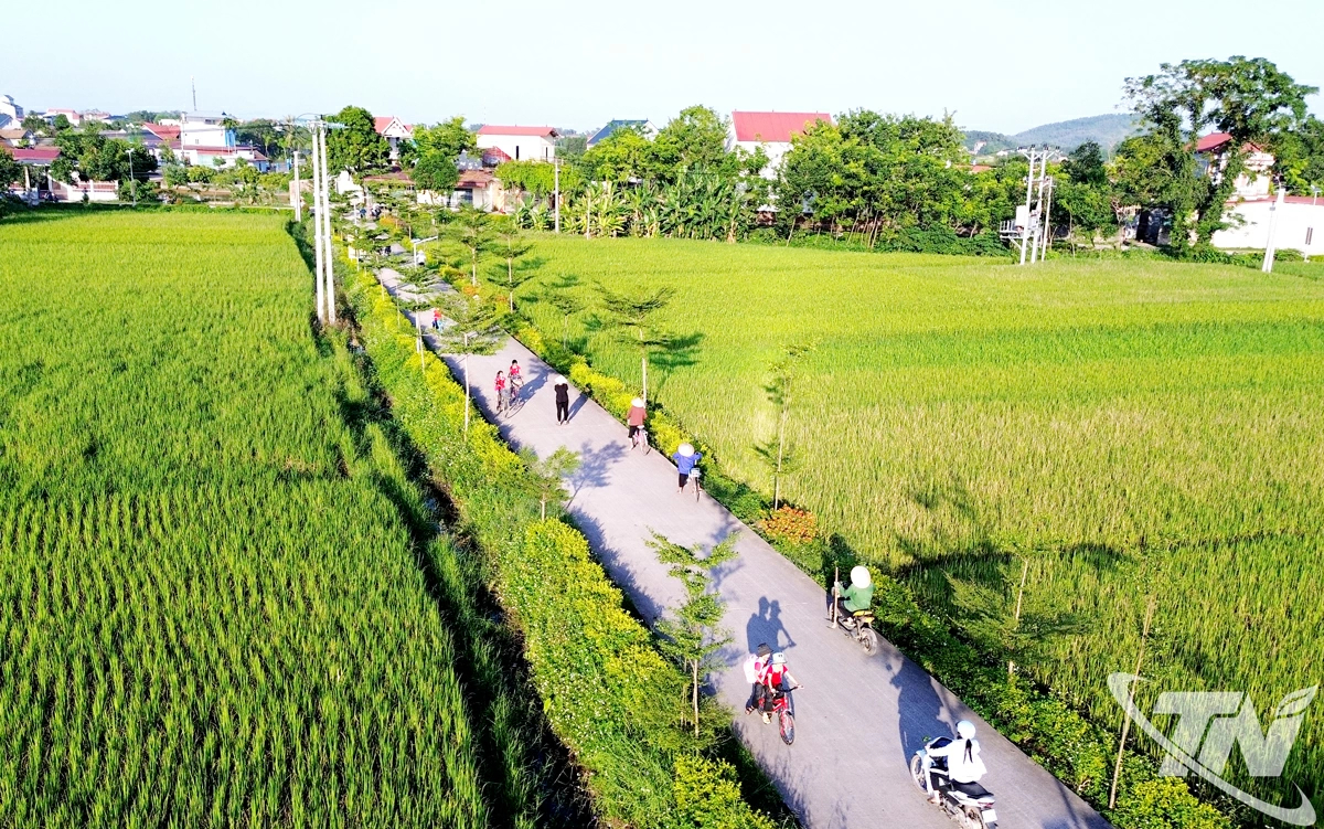 Thái Nguyên triển khai Đề án phát triển hạ tầng các xã khó khăn năm 2026