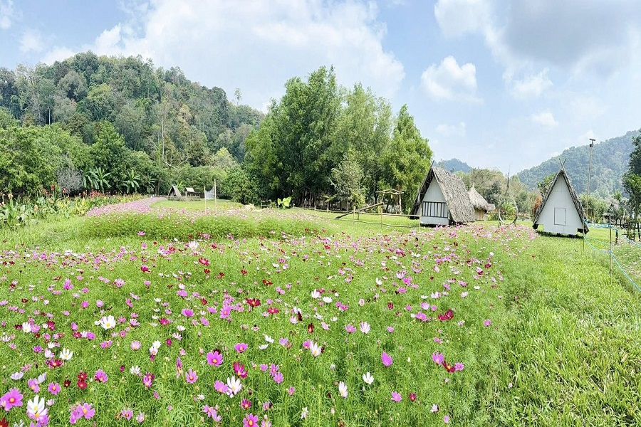 Lâm Đồng: Du lịch nông nghiệp – Động lực mới cho xu hướng du lịch xanh