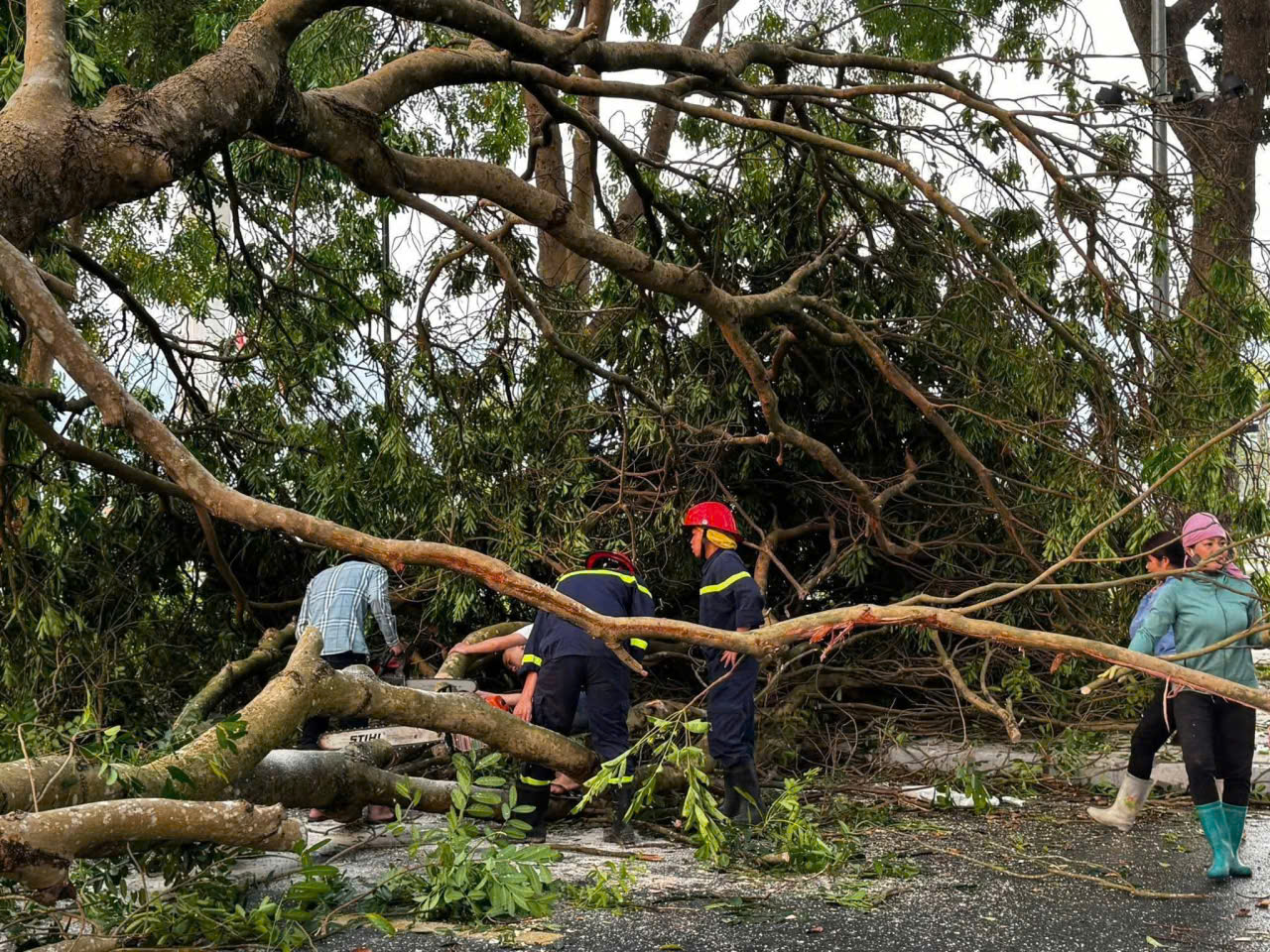 H&agrave;ng loạt nh&agrave; d&acirc;n v&agrave; c&ocirc;ng tr&igrave;nh c&ocirc;ng cộng tại Nghĩa Lộ bị gi&oacute; lốc thổi bay phần m&aacute;i.