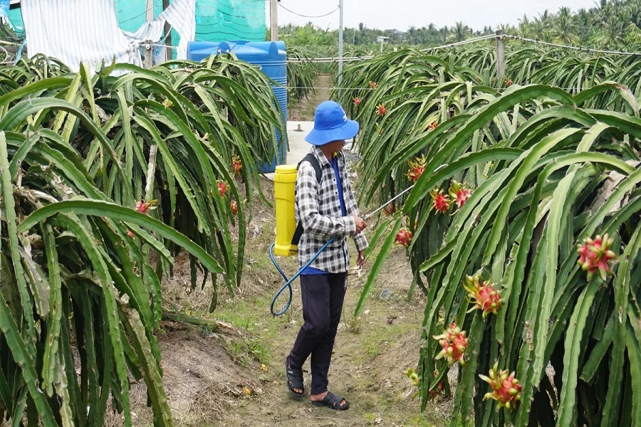 Nghịch lý “giá tăng nhanh - giảm chậm” của vật tư nông nghiệp bào mòn lợi nhuận sản xuất. Nghịch lý “giá tăng nhanh - giảm chậm” của vật tư nông nghiệp bào mòn lợi nhuận sản xuất.