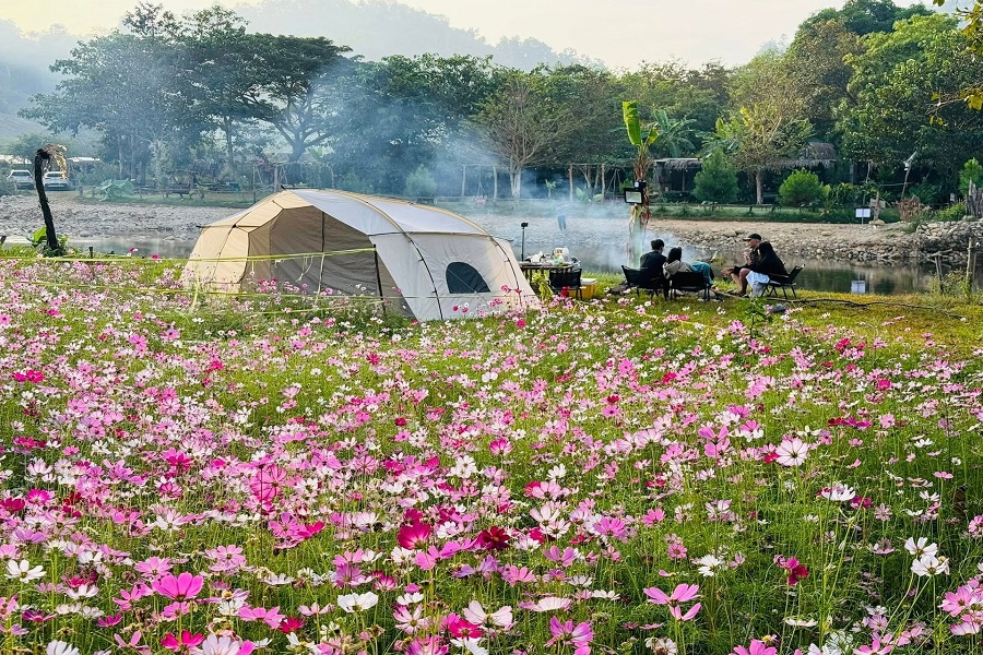 Vườn hoa cánh bướm ở điểm đến La Ngâu làm nhiều du khách thích thú Vườn hoa cánh bướm ở điểm đến La Ngâu làm nhiều du khách thích thú