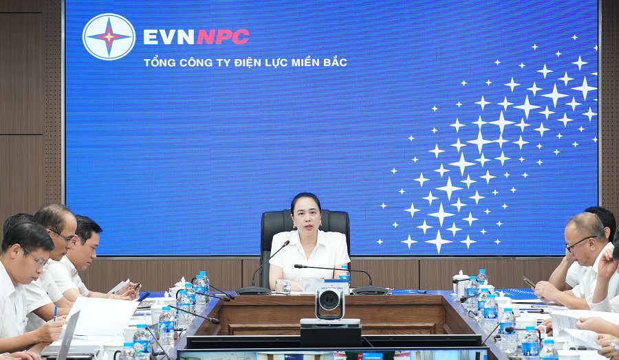 B&agrave; Đỗ Nguyệt &Aacute;nh - Chủ tịch Hội đồng th&agrave;nh vi&ecirc;n EVNNPC