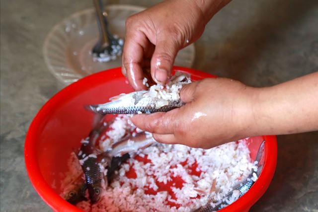 Chế biến m&oacute;n c&aacute; ủ chua từng g&acirc;y ra nhiều vụ ngộ độc tại x&atilde; v&ugrave;ng cao Phước Năng.