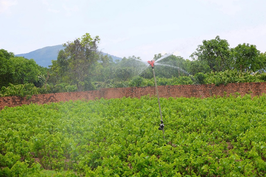 C&aacute;c địa phương được khuyến kh&iacute;ch &aacute;p dụng tưới phun mưa, tưới nhỏ giọt v&agrave; c&aacute;c giải ph&aacute;p tiết kiệm nước