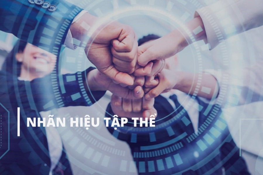 Nhãn hiệu tập thể ngày càng phổ biến trên thị trường Nhãn hiệu tập thể ngày càng phổ biến trên thị trường