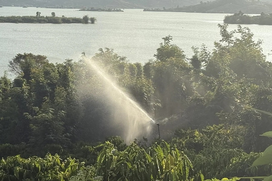 Chủ động nguồn nước tưới trong cao điểm mùa khô tại Lâm Đồng