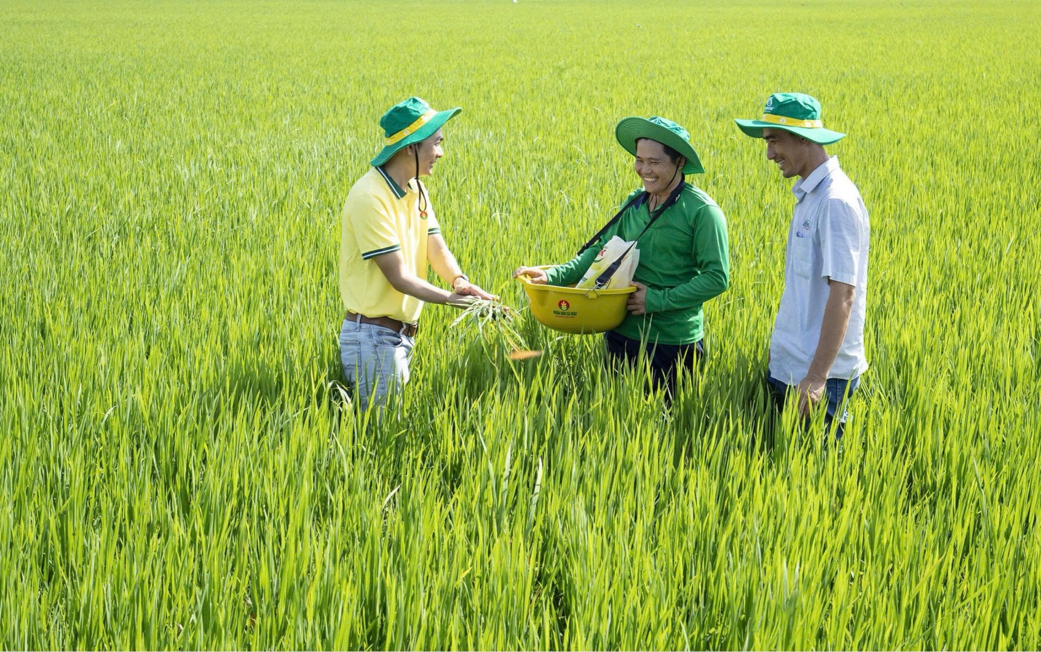 PVCFC hướng đến bộ giải ph&aacute;p to&agrave;n diện cho c&acirc;y trồng