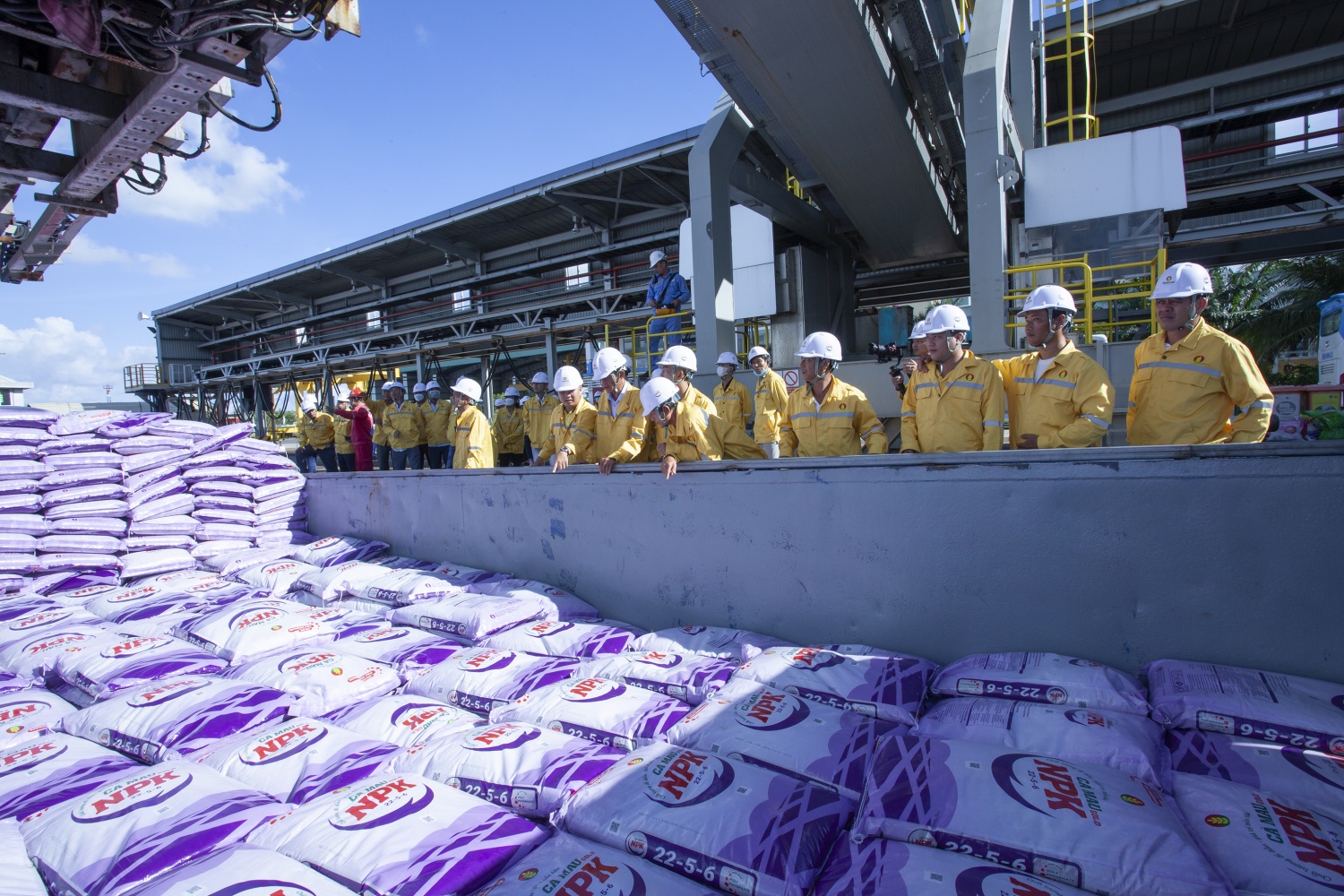 Bộ sản phẩm Ph&acirc;n b&oacute;n C&agrave; Mau đ&aacute;p ứng c&aacute;c ti&ecirc;u chuẩn khắt khe theo y&ecirc;u cầu quốc tế