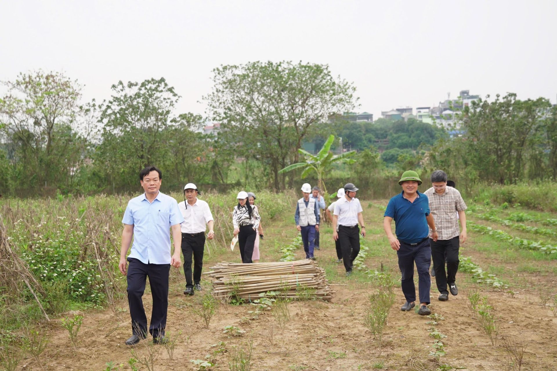 L&atilde;nh đạo phường Hồng H&agrave; c&ugrave;ng c&aacute;c đơn vị li&ecirc;n quan kiểm tra thực địa, đ&ocirc;n đốc tiến độ giải ph&oacute;ng mặt bằng dự &aacute;n cầu Tứ Li&ecirc;n.