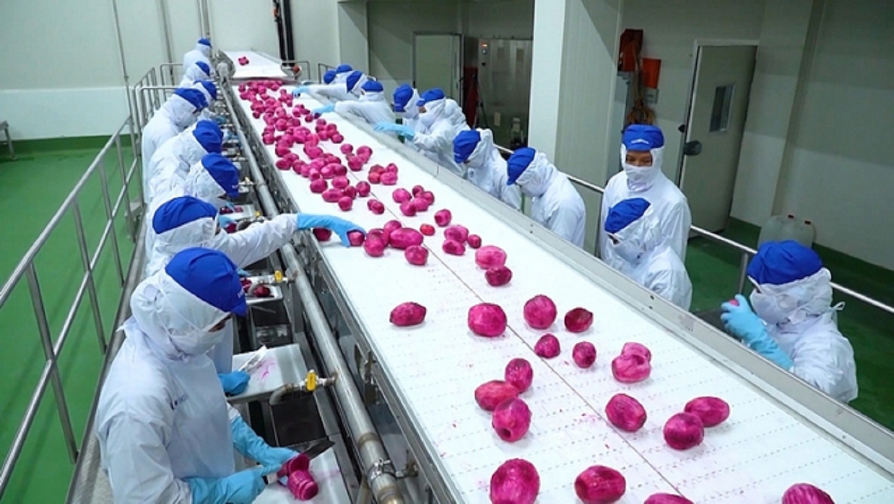 Doanh nghiệp nông nghiệp xoay trục trong “bão chi phí”: Tối ưu vận hành để giữ biên lợi nhuận