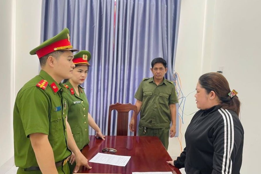 Hà Tĩnh: Bắt nữ giám đốc mua bán hóa đơn, trốn thuế gần 740 triệu đồng